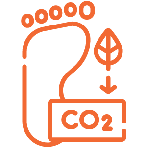 carbon-footprint.png