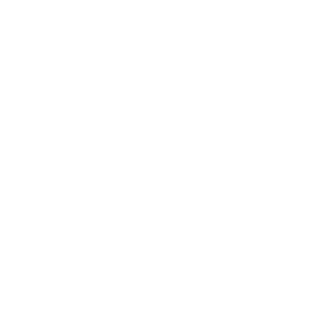 forest.png