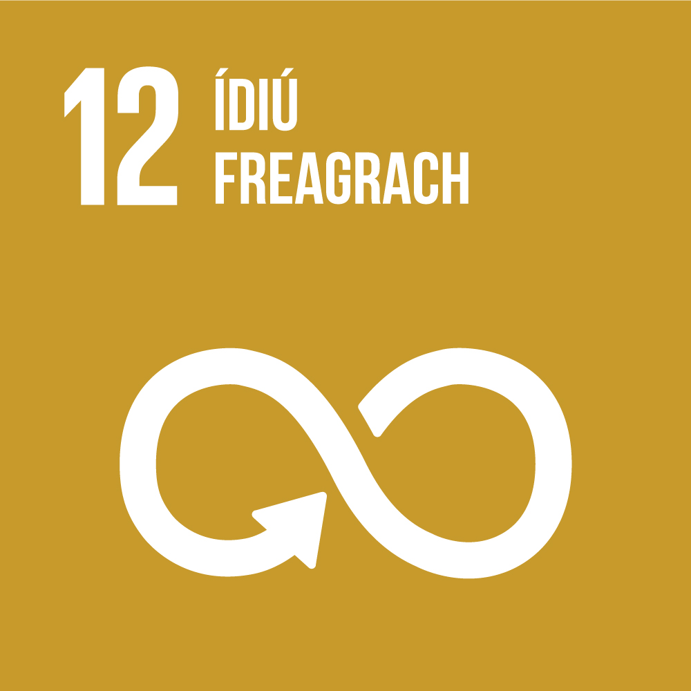 SDG-12_1.jpg