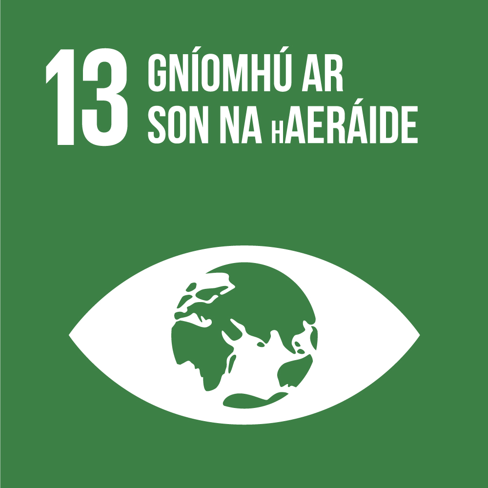 SDG-13.jpg