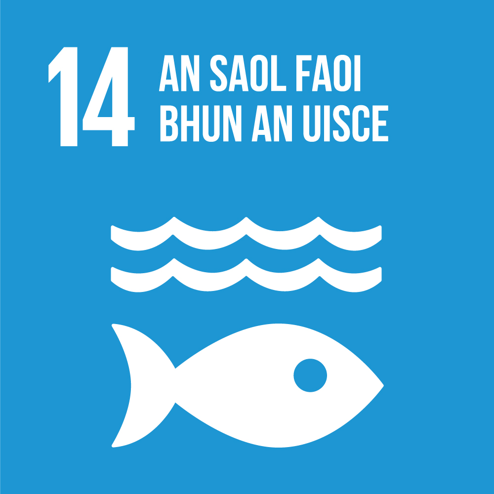 SDG-14.jpg
