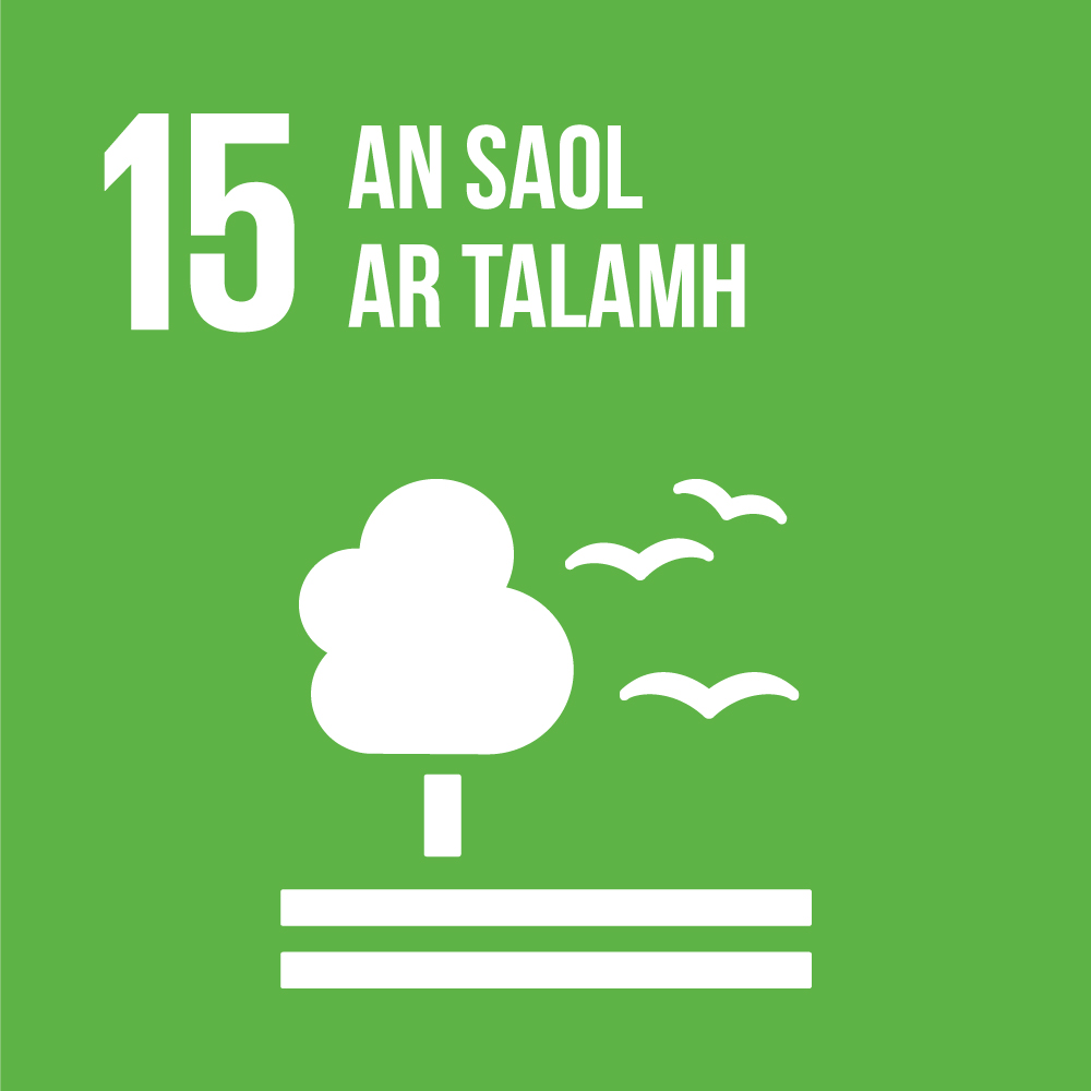 SDG-15.jpg