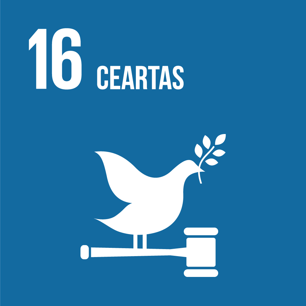 SDG-16.jpg
