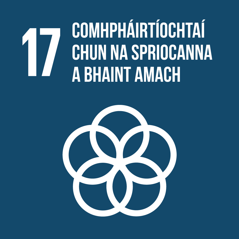 SDG-17_4.jpg